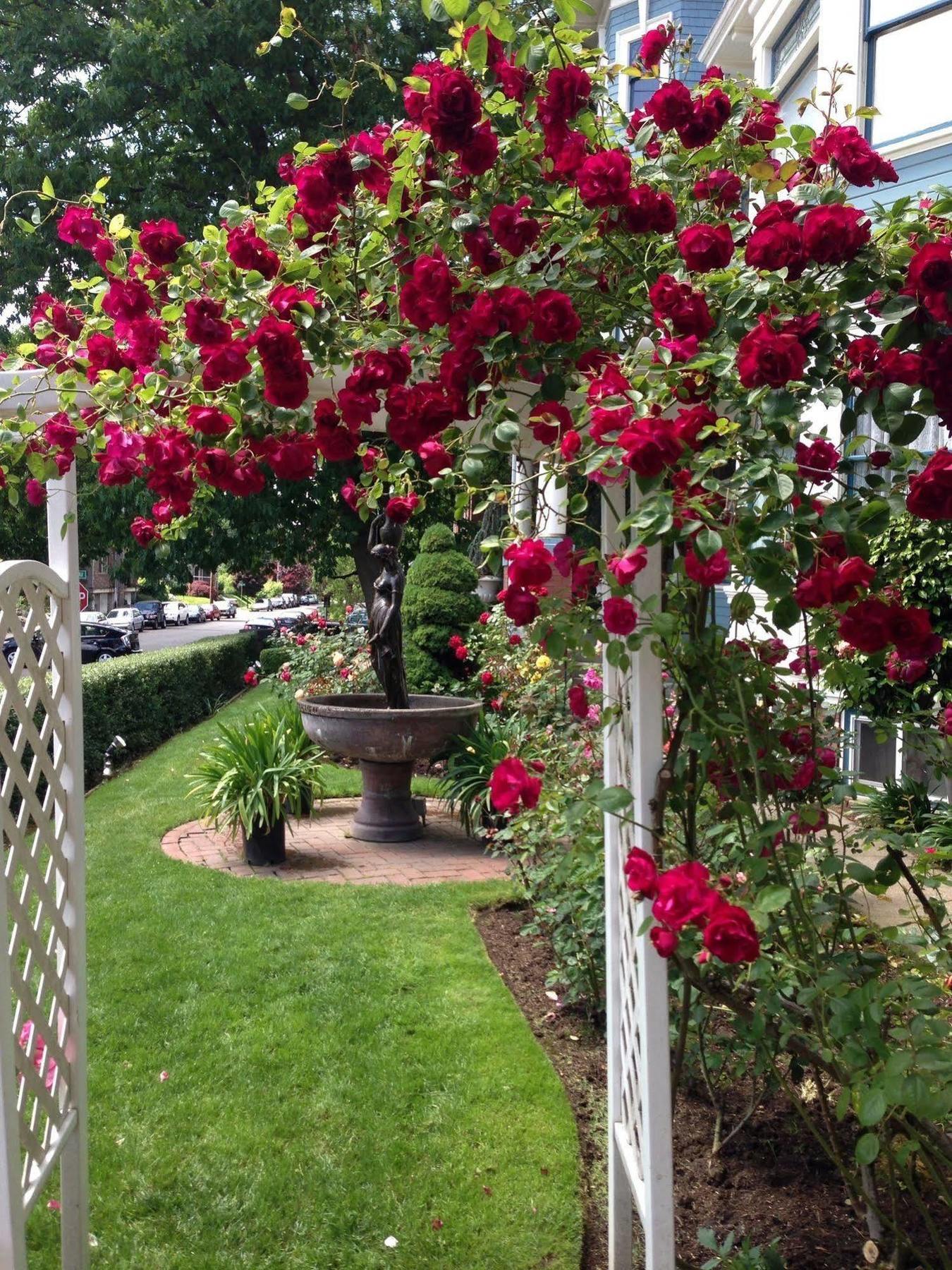 Lion And The Rose Victorian Guest House Portland Dış mekan fotoğraf