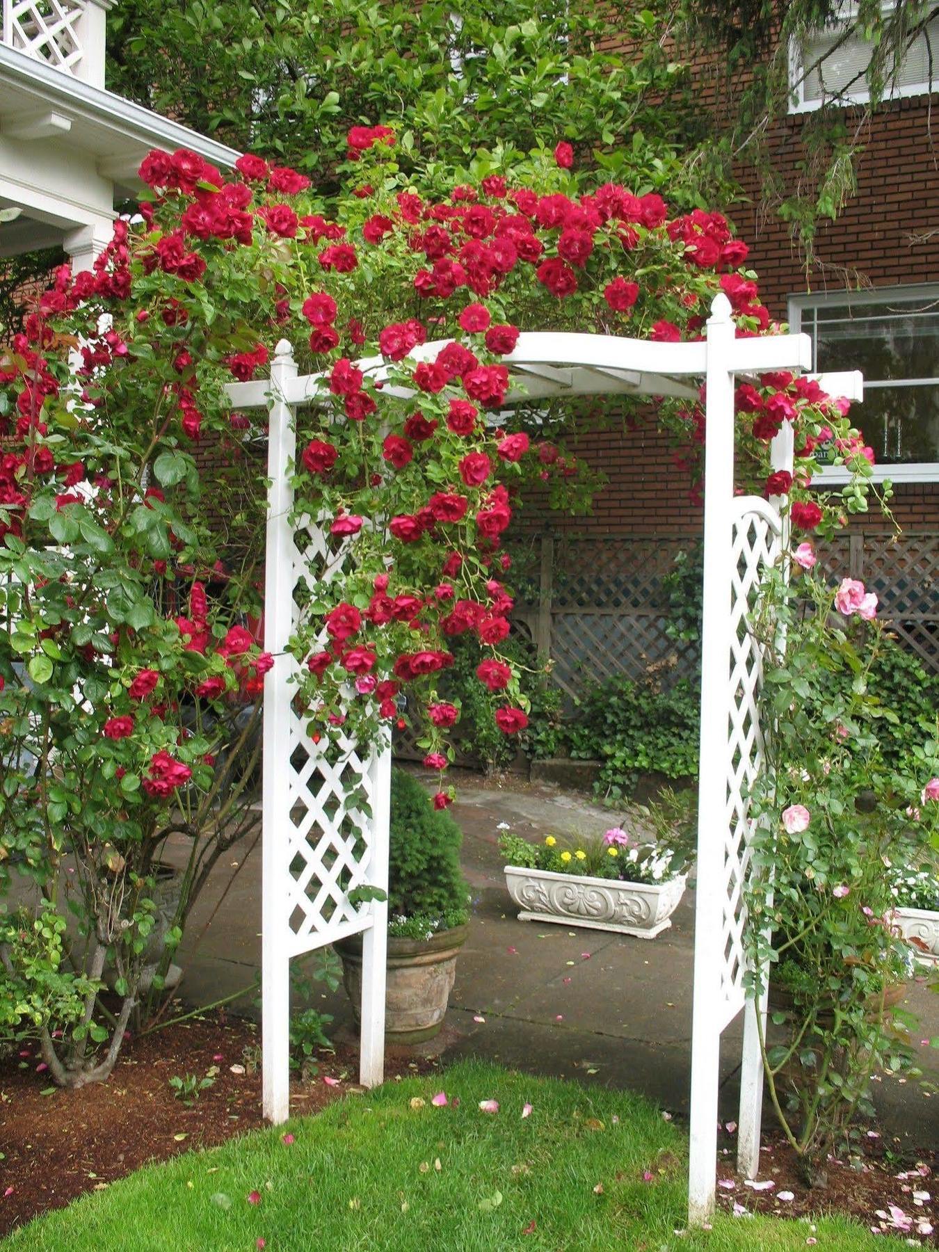 Lion And The Rose Victorian Guest House Portland Dış mekan fotoğraf