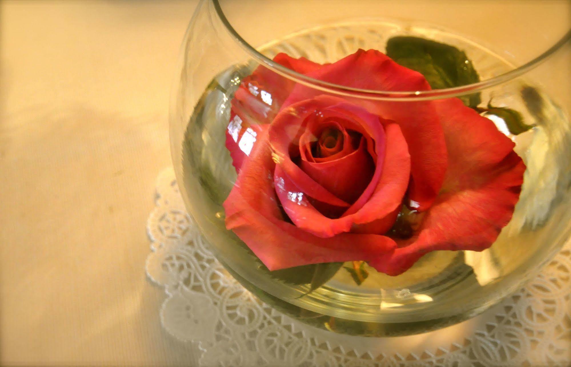 Lion And The Rose Victorian Guest House Portland Dış mekan fotoğraf